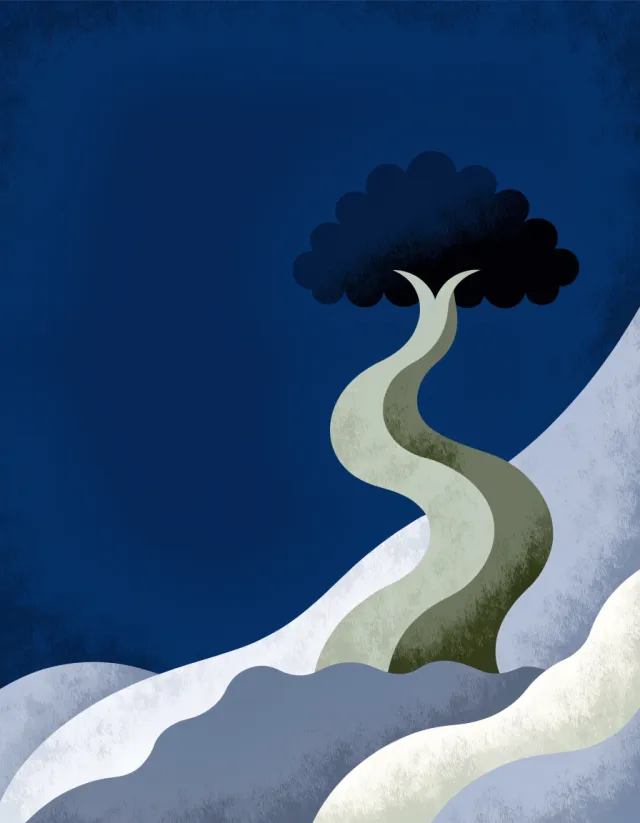 Baum in der Nacht